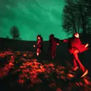 Double LP - Lyschko - Brennen - Limited Edition, red (LP 1) / green (LP 2)