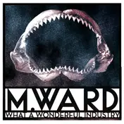 M. Ward - What A Wonderful Industry