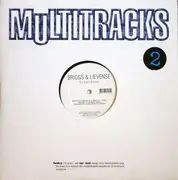 12inch Vinyl Single - M. Briggs & Dave Lievense - Breakdown