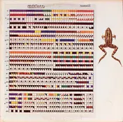 M. Frog - M. Frog