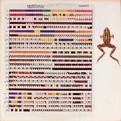 M. Frog