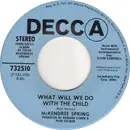 7inch Vinyl Single - McKendree Spring - What Will We Do With The Child
