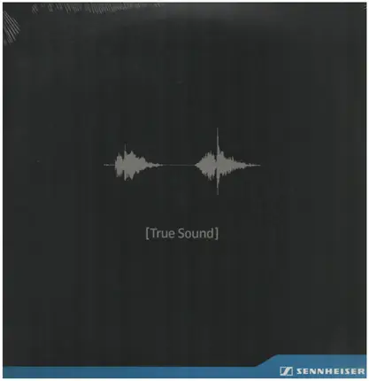 McKinley Black, Bassface Swing Trio, a.o. - Sennheiser [True Sound]