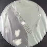 LP - +ma - Unreel - Limited Edition