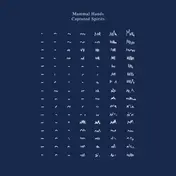 Mammal Hands - Captured Spirits