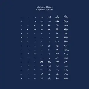 Mammal Hands - Captured Spirits
