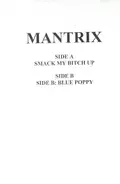 Mantrix - Smack My Bitch Up