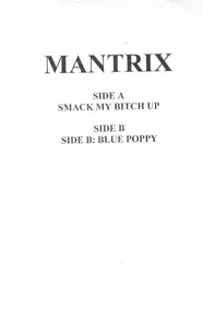 Mantrix - Smack My Bitch Up