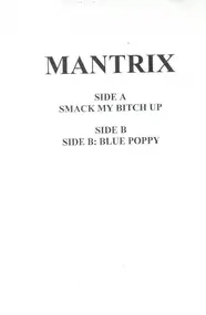 Mantrix - Smack My Bitch Up