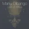 DVD - MANU DIBANGO - LION OF AFRICA - + CD