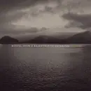 CD - Manuel Volpe & Rhabdomantic Orchestra - Albore