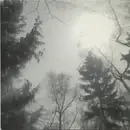 7inch Vinyl Single - Manuela Krause + Pole - Mein Freund Der Baum