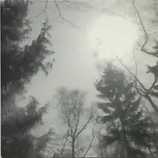 Manuela Krause + Pole