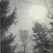 Manuela Krause + Pole - Mein Freund der Baum