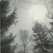 7inch Vinyl Single - Manuela Krause + Pole - Mein Freund Der Baum