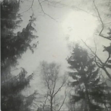 Manuela Krause + Pole - Mein Freund der Baum