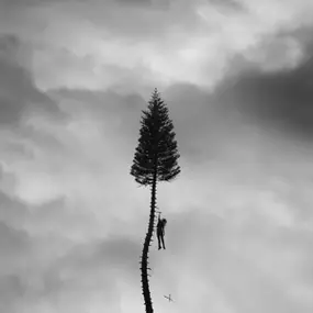 manchester orchestra - A Black Mile To The Surface