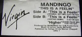 Mandingo - This Is A Feelin'