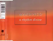 Mandingo - A Rhythm Divine