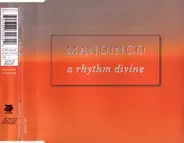 Mandingo - A Rhythm Divine