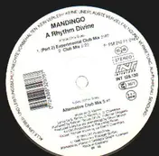 Mandingo - A Rhythm Divine