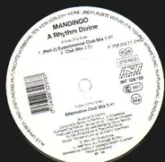 Mandingo - A Rhythm Divine