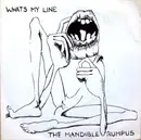 7inch Vinyl Single - Mandible Rumpus - Whats My Line