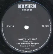 7inch Vinyl Single - Mandible Rumpus - Whats My Line