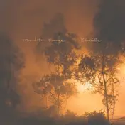 MANDOLIN ORANGE - Blindfaller