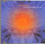 Mandorla - Invisible Intelligence