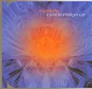 CD - Mandorla - Invisible Intelligence