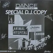 Mandrill , Survivor , Anne Bertucci , Kitty Grant - Dance Contemporary Special D.J. Copy