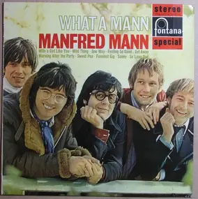 Manfred Mann - What A Mann