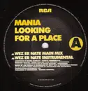 12inch Vinyl Single - Mania - Looking For A Place