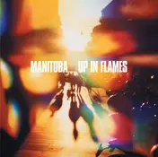 Dan Snaith - Up in Flames