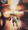LP - Manitoba - Up In Flames - clear vinyl