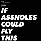 Dan Snaith - If Assholes Could Fly This Place Would Be An Airport