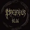 LP - MACTATUS - BLOT - Ltd.