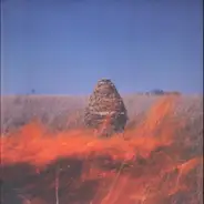 The Maccabees - Given to the Wild