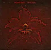 CD - Machine Head - The Burning Red