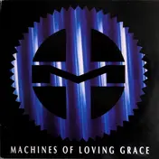 Machines of Loving Grace - Rite Of Shiva
