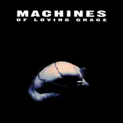 Machines of Loving Grace - Concentration