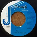 7inch Vinyl Single - Mad Cobra - A Who