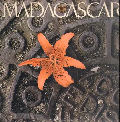 Madagascar - Spirit of the Street