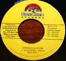 7inch Vinyl Single - Madd Anju - Branch & Stem