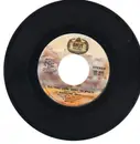 7inch Vinyl Single - Madeline Bell - All That Love Went To Waste