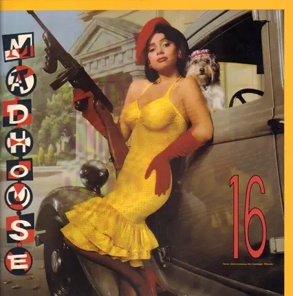 Madhouse - 16 (New Directions In Garage Music)