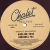 12'' - Madleen Kane - Cherchez Pas / Boogie Talk