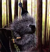 Madlib Invazion,Madlib Invazion