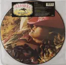 Picture Disc - Madonna - Music